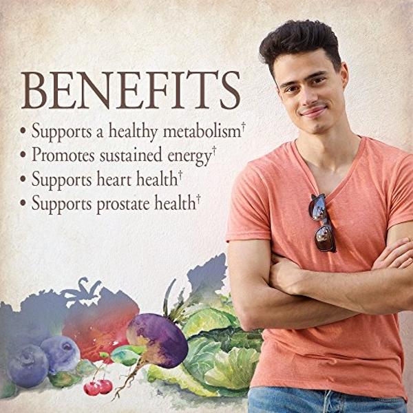 Garden of Life Organics Multivitamin for Men - Men's Once Daily Whole Food Vitamin Supplement Tablets, Vegan, 30 Count
