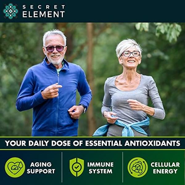(2 PACK) Citrus Bergamot Extract 1000mg - Citrus Bergamot Supplement for Circulatory Health, Immunity, and Graceful Aging - 2x the potency of Citrus Bergamot 500mg - 240 Vegan Citr