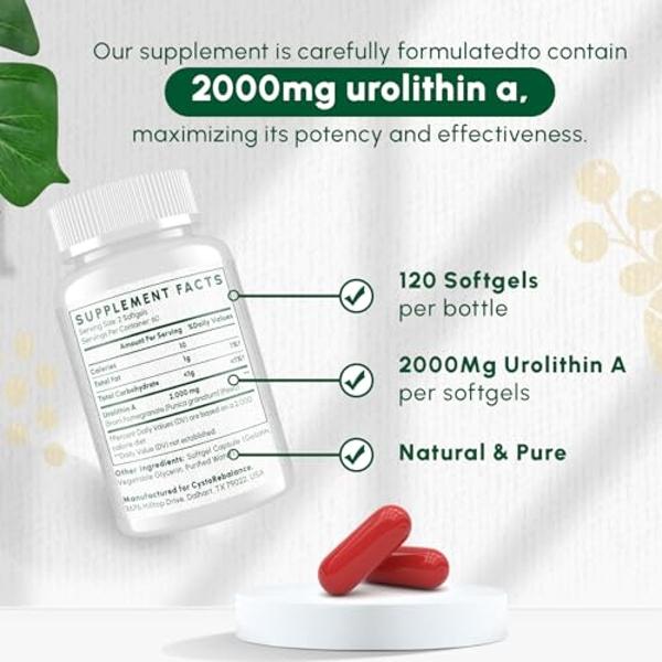 NATURAL STACKS Dopamine Brain Food - 650mg L-Tyrosine Supplement - Dopamine Supplement for Focus & Mental Drive - Supports Mental Energy - Neurotransmitter Support with B Vitamins 