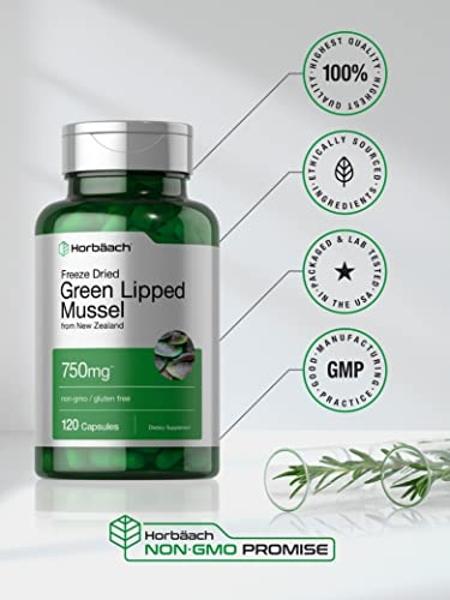 Nutricost Alpha GPC 600mg, 60 Vegetarian Capsules - Non-GMO and Gluten Free, 300mg Per Capsule
