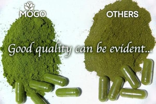 MOGO Organic Moringa Powder Capsules,180 Ct | Moringa Supplement for Energy, Immunity & Joint Health, Our Moringa Capsule Made with Pure Moringa Powder Organic,Vegan and Non GMO.