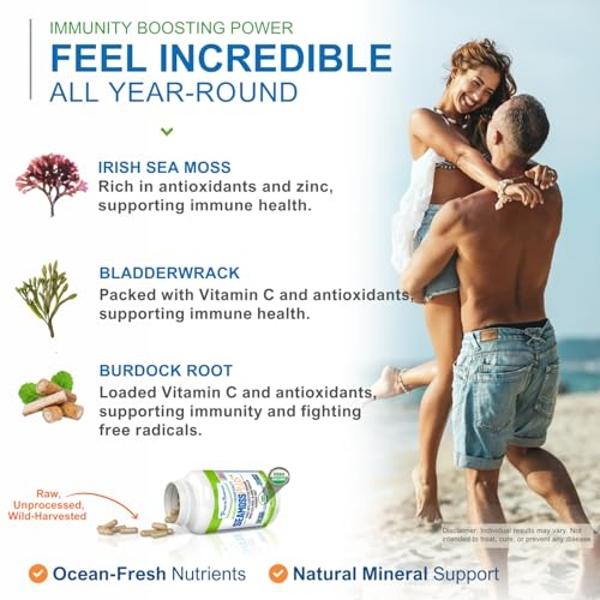Power By Naturals Sea Moss Plus - USDA Certified Organic Wildcrafted Irish Seamoss, Bladderwrack & Burdock Root, Supplement for Immunity, 60Ct, 2 Pack