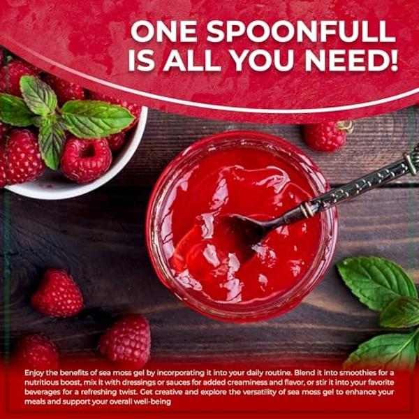 Irish Sea Moss Gel Organic Raw - Wildcrafted Superfood Seamoss Gel - Raspberry Flavor, Vitamin and Mineral-Rich from Pristine Caribbean Waters, Immune and Digestive Health Support 