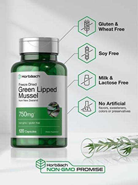 Designs for Health Homocysteine Supreme - Methylated B Vitamins with Riboflavin, B6, B12, Folate, L-Serine & TMG for Brain Support & Heart Health - Methylated Multivitamin (120 Cap