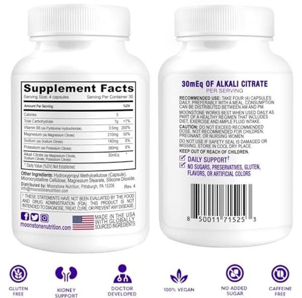 Organic 10-in-1 Mushroom Powder, 10oz | Lions Mane, Shiitake, Reishi, Turkey Tail, Chaga & More | Great Mushroom Supplement for Coffee | Energy, Immune Booster, & Brain Health Supp