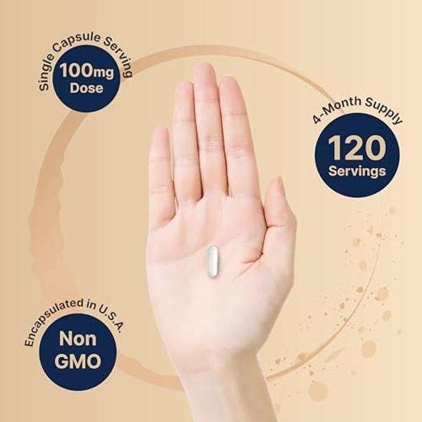 NatureBell DHEA 100mg for Men & Women, 240 Capsules | Max Strength, Micronized Grade for Better Absorption – Supports Energy Level, Metabolism & Healthy Aging – Non-GMO, Made in U.