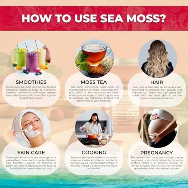 Irish Sea Moss Gel Organic Raw - Wildcrafted Superfood Seamoss Gel - Raspberry Flavor, Vitamin and Mineral-Rich from Pristine Caribbean Waters, Immune and Digestive Health Support 