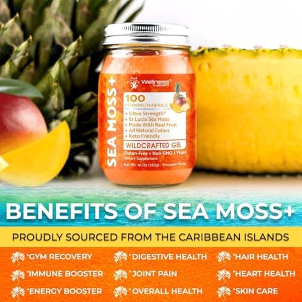 WELLNESS LABSRX Irish Sea Moss Gel Organic Raw - Wildcrafted Superfood Seamoss Gel - Pineapple Mango Flavor, Vitamin and Mineral-Rich from Pristine Caribbean Waters - 10 oz.