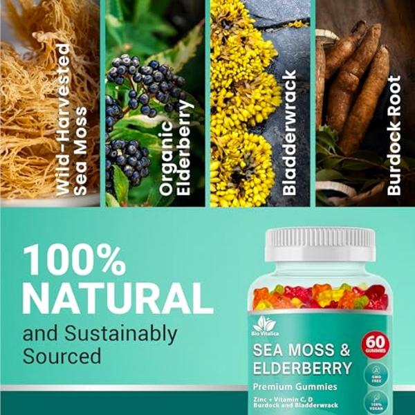 BIO VITALICA Sea Moss Gummies Elderberry BioVitalica - Vitamin C D + Zinc - Irish Seamoss Vegan Gummy with Sea Moss Gel & Powder for Immunity, Detox - for Adults and Kids (3Packs)