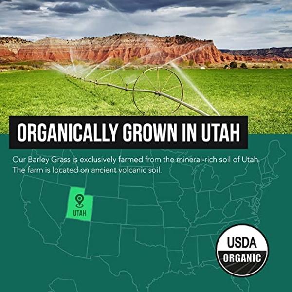 Organic Barley Grass Juice Powder - Grown in Volcanic Soil of Utah - Raw & BioActive Form, Cold-Pressed then CO2 Dried – Gluten Free, GMO free, Vegan - Complements Wheatgrass Juice