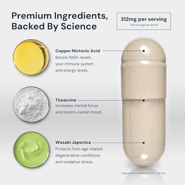 HPN Supplements NAD3 NAD+ Booster | Extra Value Size 4 Month Supply | Clinically Proven & Independently Tested - Metabolic Repair | 312 mg per Serving - 240 Capsules