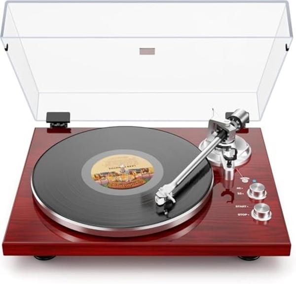 Belt Drive Turntable for Vinyl Record Player,Connect with Bluetooth Speakers or Active Speaker,Built-in Phono Pre-amp,USB Digital Output, Magnetic Cartridge,High-Gloss Wood Design(