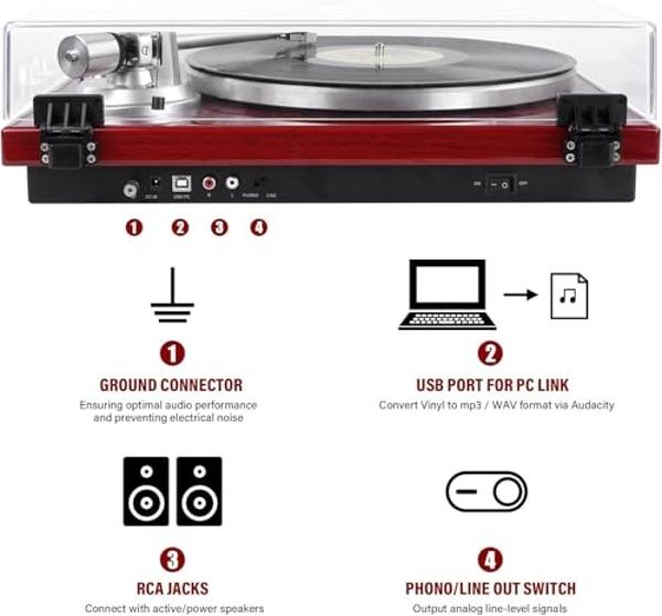 Belt Drive Turntable for Vinyl Record Player,Connect with Bluetooth Speakers or Active Speaker,Built-in Phono Pre-amp,USB Digital Output, Magnetic Cartridge,High-Gloss Wood Design(