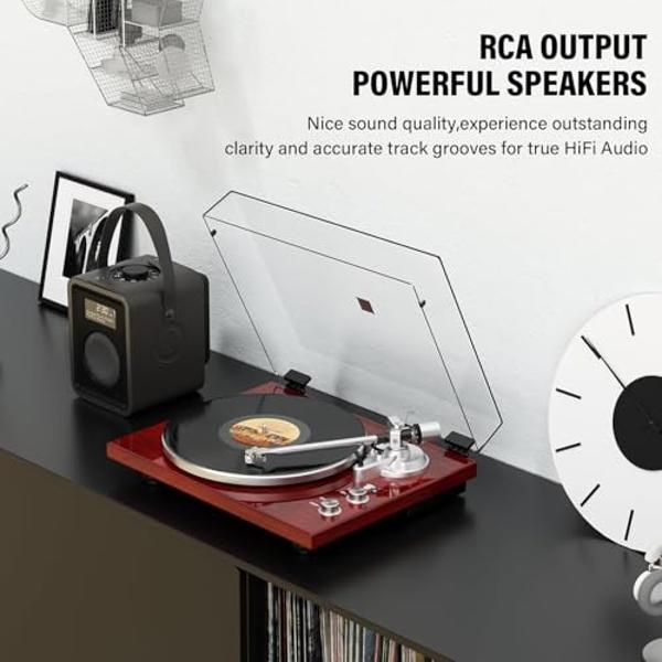Belt Drive Turntable for Vinyl Record Player,Connect with Bluetooth Speakers or Active Speaker,Built-in Phono Pre-amp,USB Digital Output, Magnetic Cartridge,High-Gloss Wood Design(