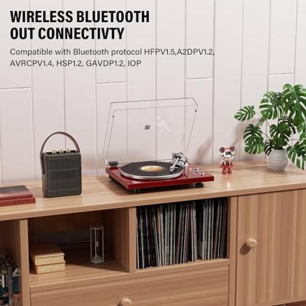 Belt Drive Turntable for Vinyl Record Player,Connect with Bluetooth Speakers or Active Speaker,Built-in Phono Pre-amp,USB Digital Output, Magnetic Cartridge,High-Gloss Wood Design(