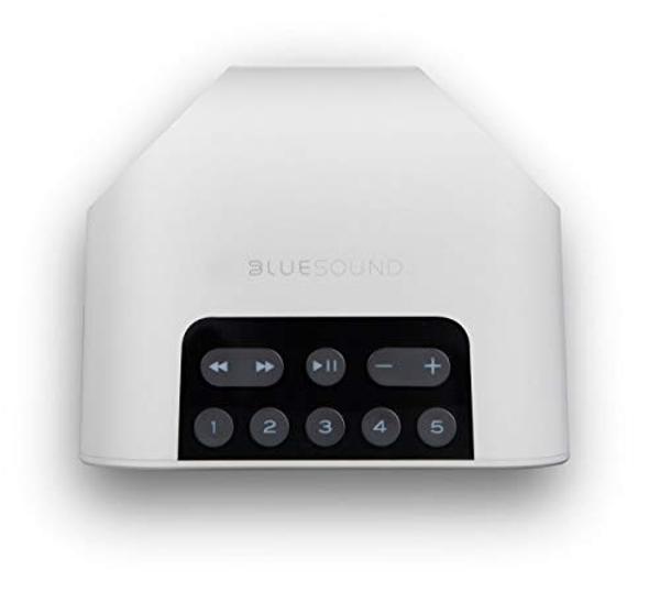 Bluesound Pulse Flex 2i Portable Wireless Multi-Room Smart Speaker with Bluetooth - White - Compatible with Alexa and Siri