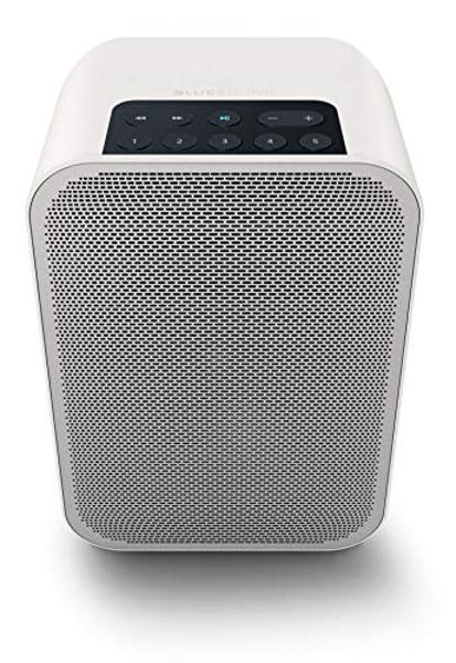 Bluesound Pulse Flex 2i Portable Wireless Multi-Room Smart Speaker with Bluetooth - White - Compatible with Alexa and Siri