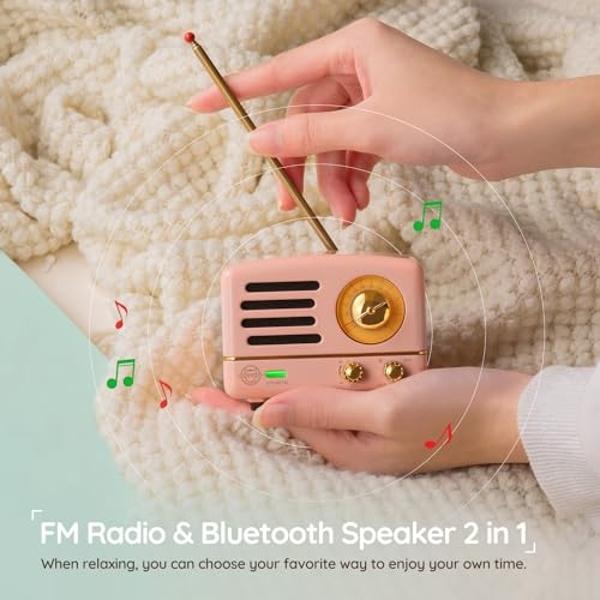 Muzen Portable Bluetooth Speaker, OTR Metal Retro Small Wireless Speaker, FM Radio with Antenna AUX, 10h+ Long Playtime, High Fidelity Stereo Audio with Suitcase, Room Office Decor