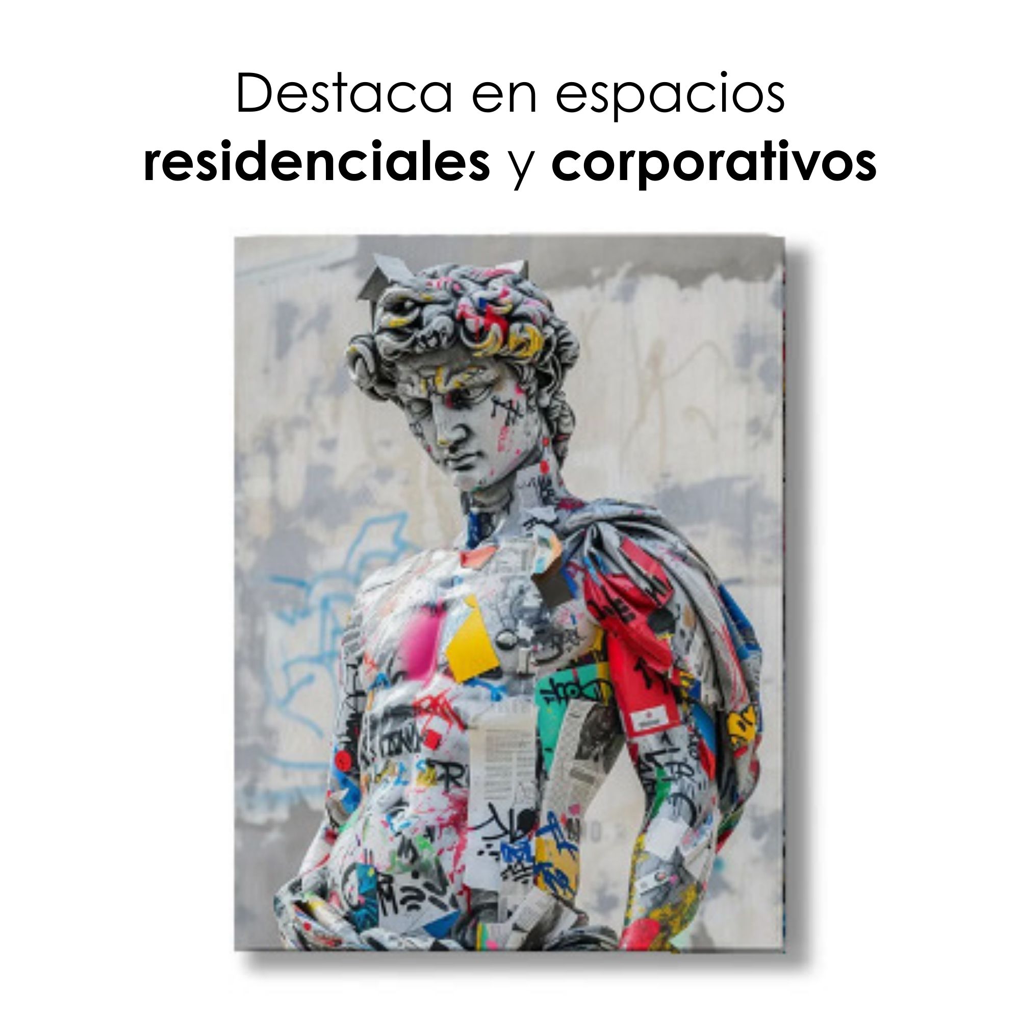 Ilios Innova | Cuadro Decorativo Fotografía David grafiti, Impreso en Tela 80x120cm, Impresión digital de alta calidad