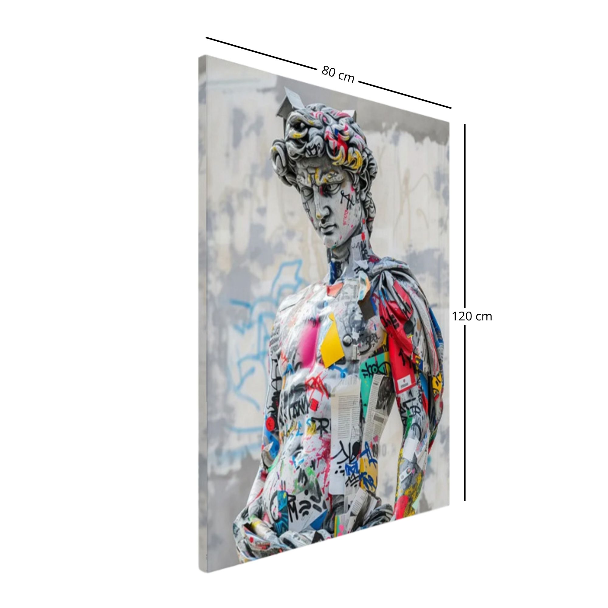 Ilios Innova | Cuadro Decorativo Fotografía David grafiti, Impreso en Tela 80x120cm, Impresión digital de alta calidad
