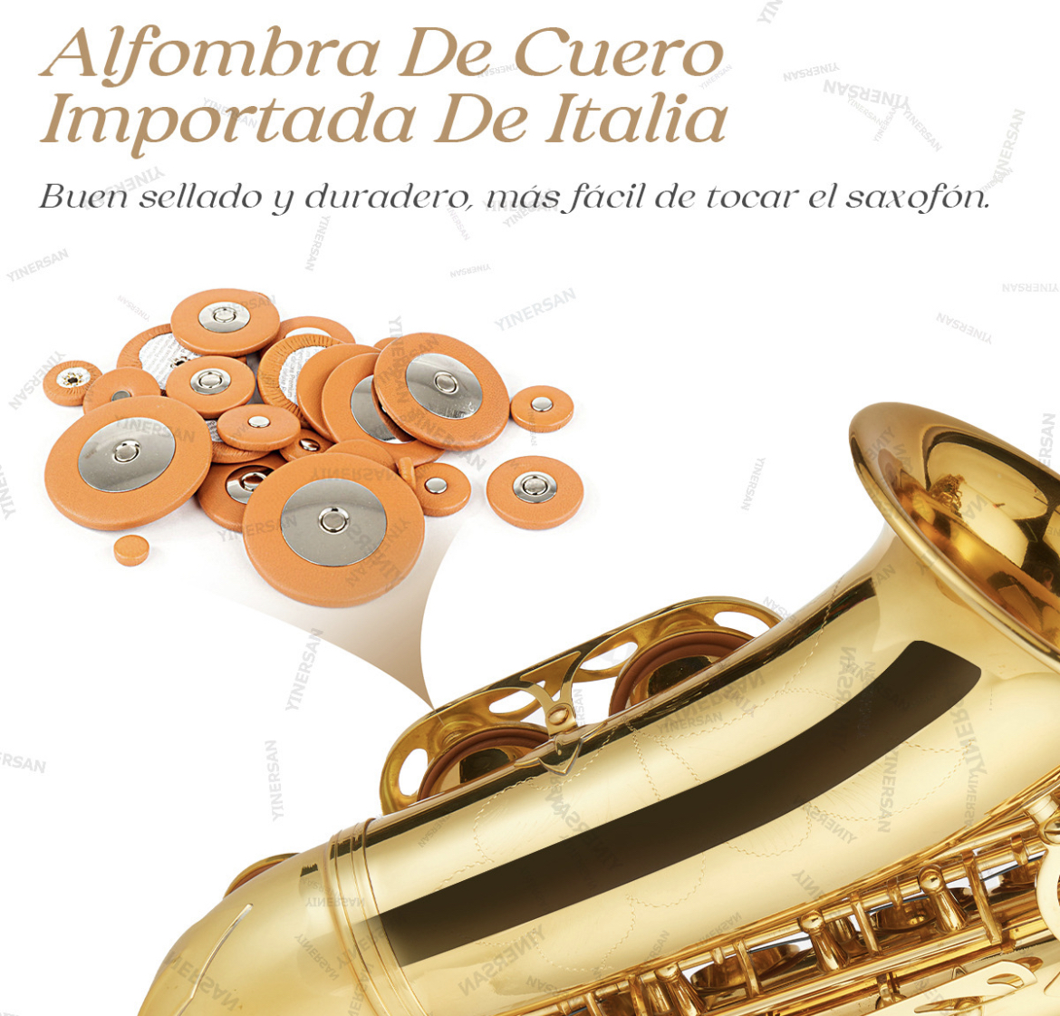 Saxofón Alto En Mi Bemol Para Principiantes Y Adultos 66cm