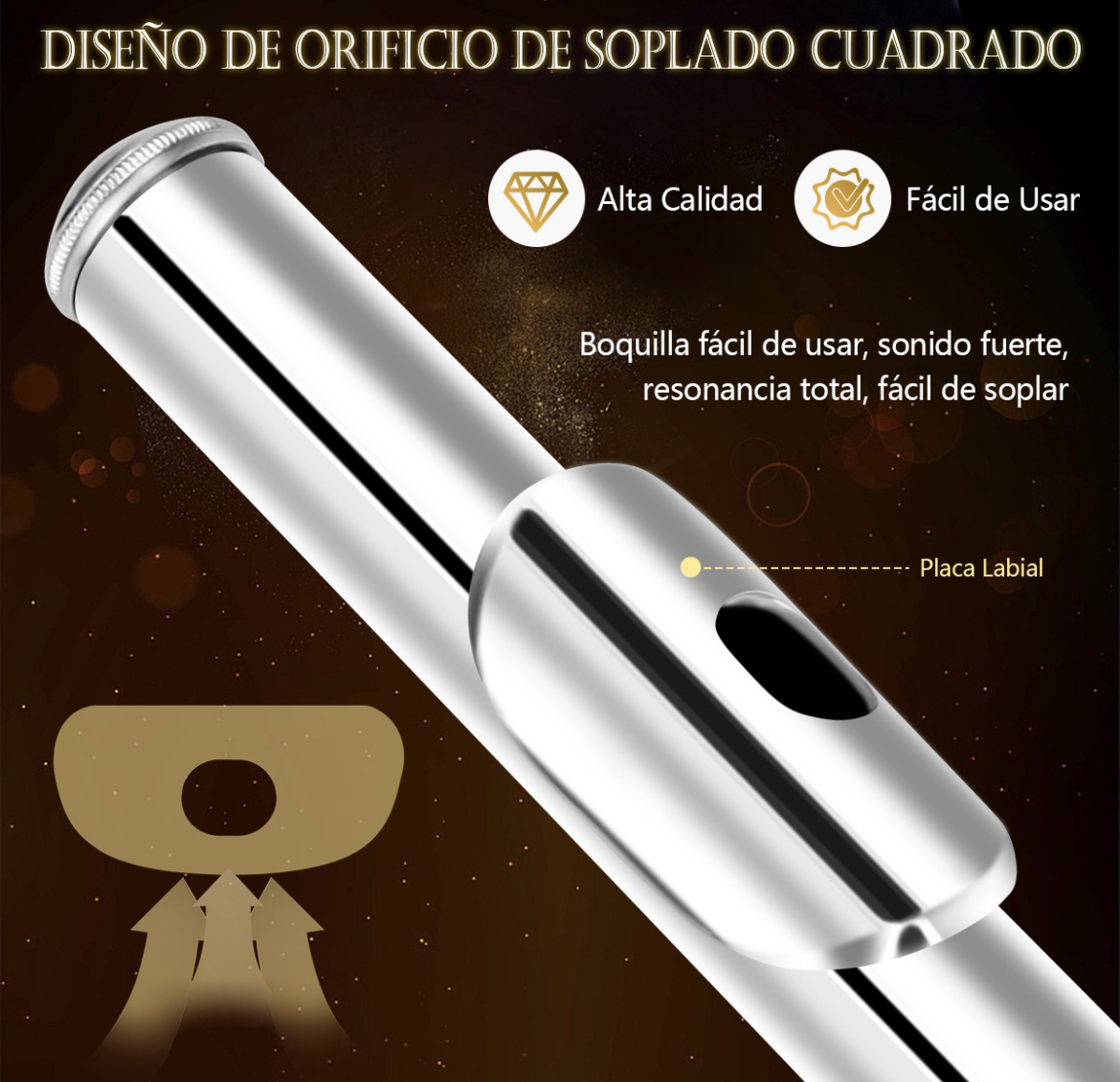 Flauta Transversal De 16 Llaves En Clave De Do Instrumentos