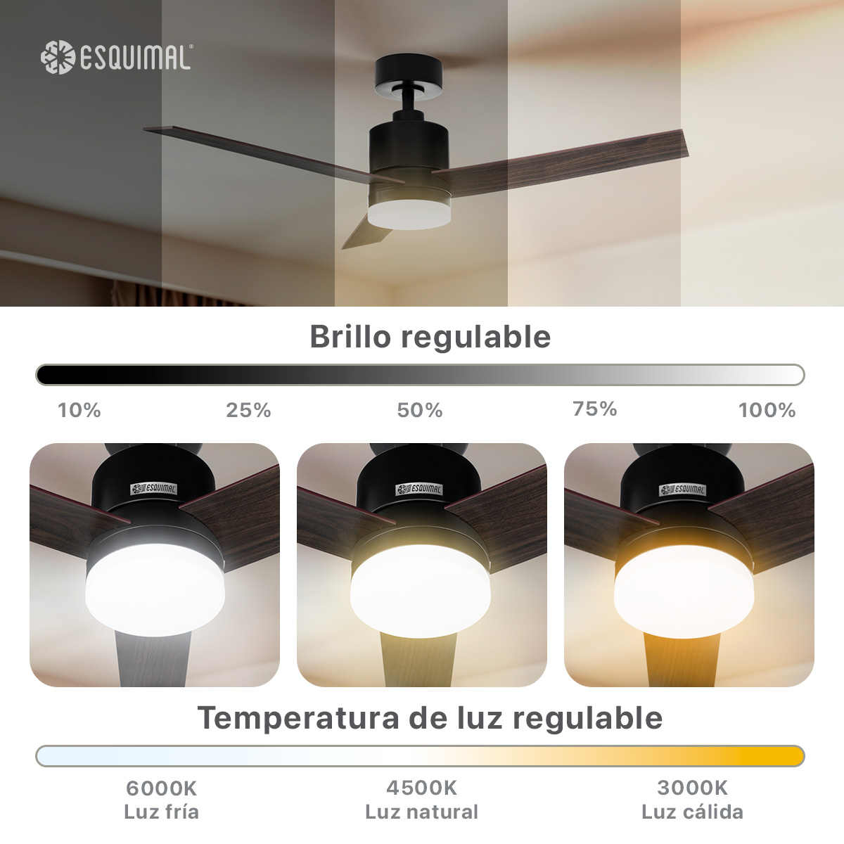 Ventilador de Techo con Lámpara 121.9cm Abanico con Doble Función para Techo Aspas de Madera Temporizador Negro ESQUIMAL