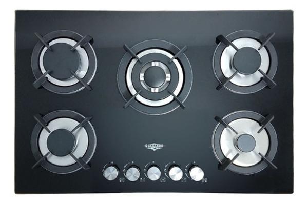 Combo Campana Extractor Plegable Parrilla Cristal 5 Quemadores Gutstark Home