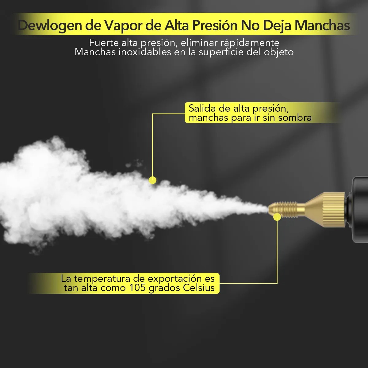 Limpiador De Vapor Portátil Blanco De 110v/220v Para Chinches Enparrilla/estufa/zapatillas/baño/coche/piso/asiento/alfombra Hotu