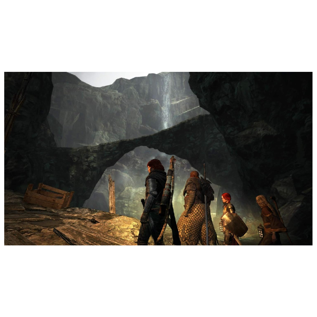Nintendo Switch Juego Dragon's Dogma Dark Arisen