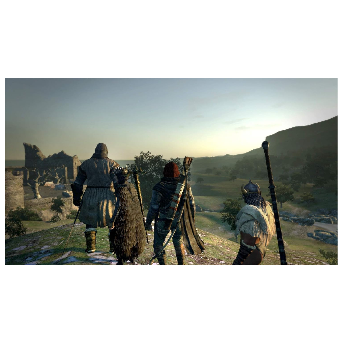 Nintendo Switch Juego Dragon's Dogma Dark Arisen
