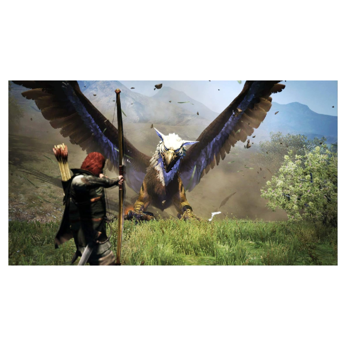 Nintendo Switch Juego Dragon's Dogma Dark Arisen