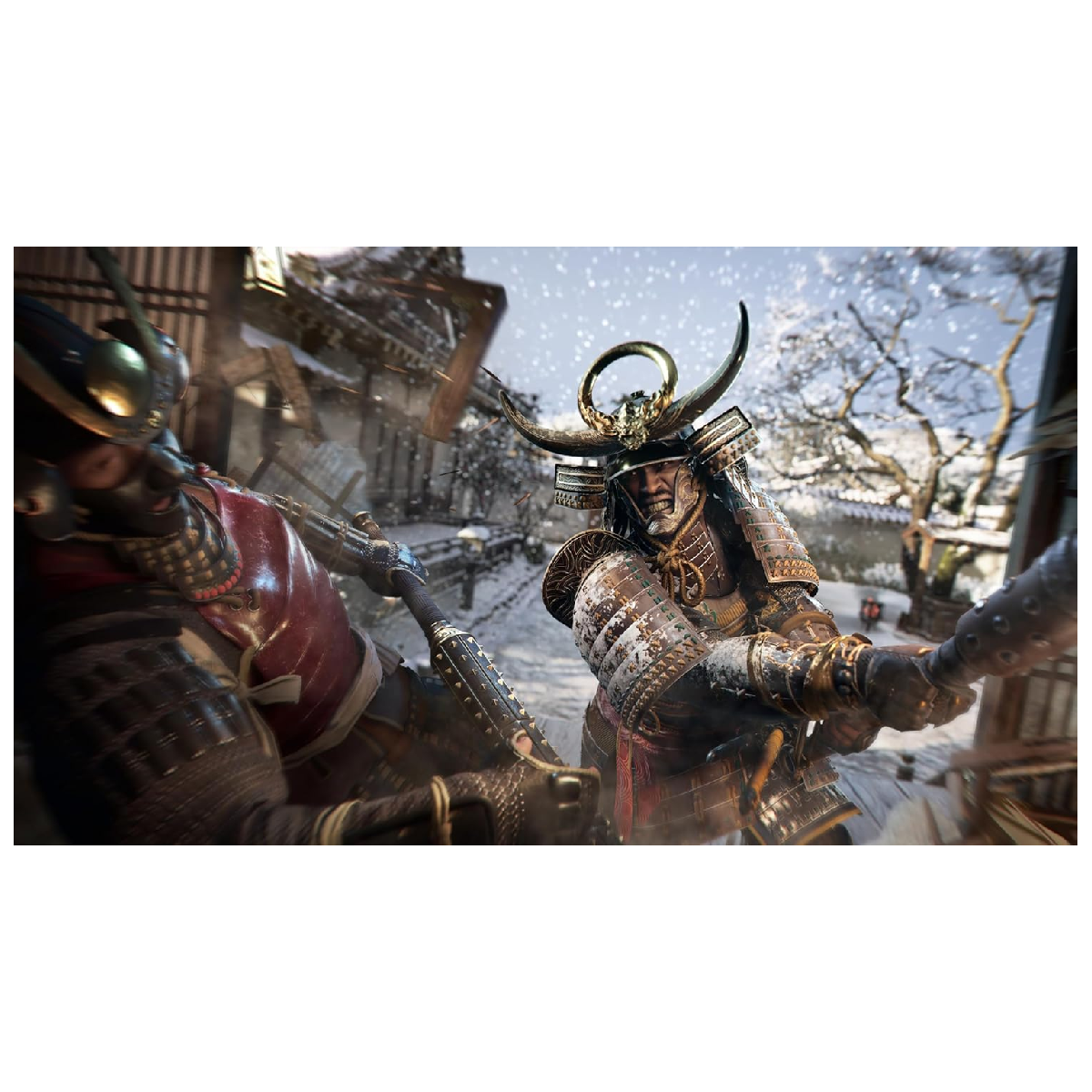 Ps5 Juego Assassin´s Creed Shadows (Americano)