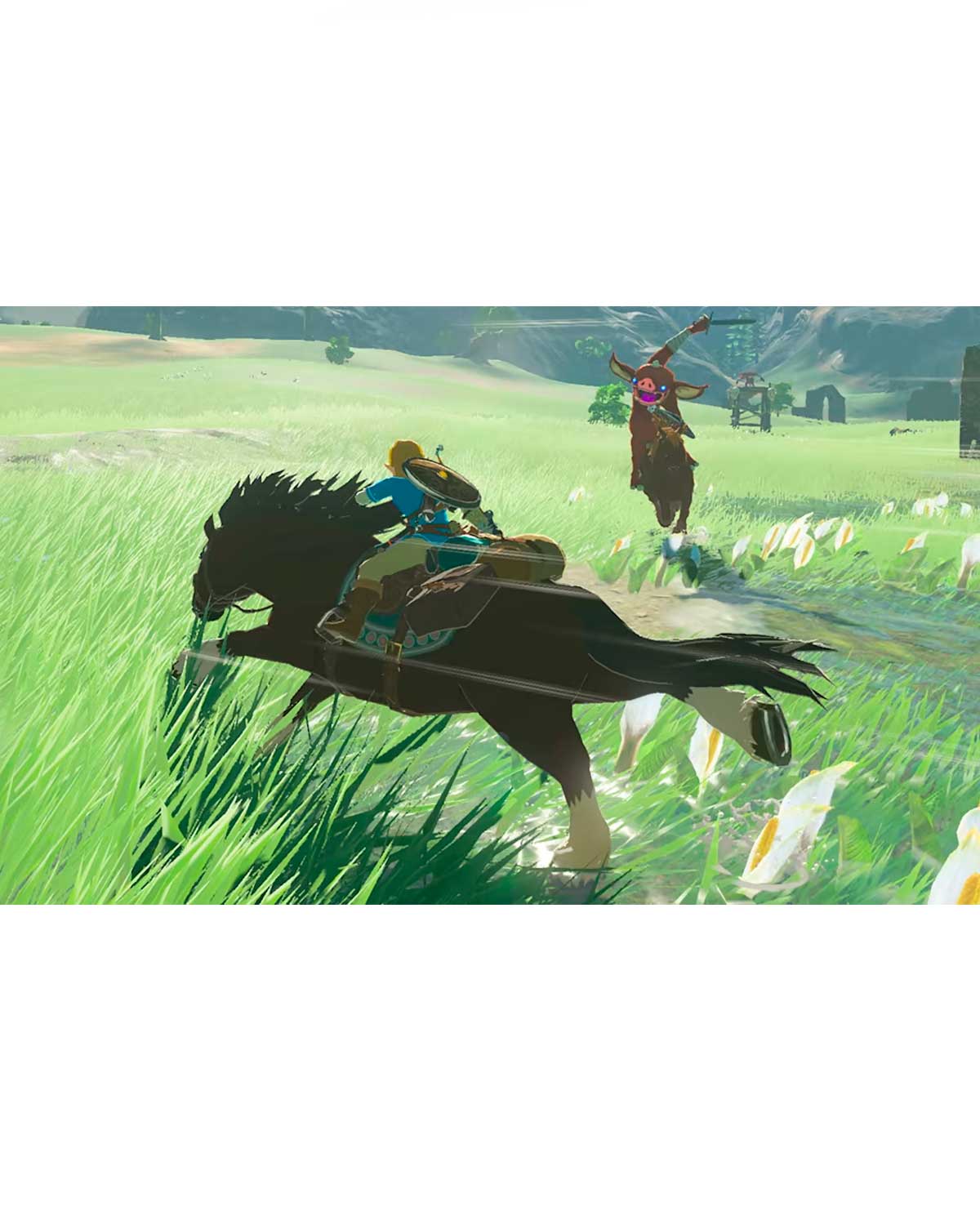 The Legend of Zelda: Breath of the Wild Edición Standard