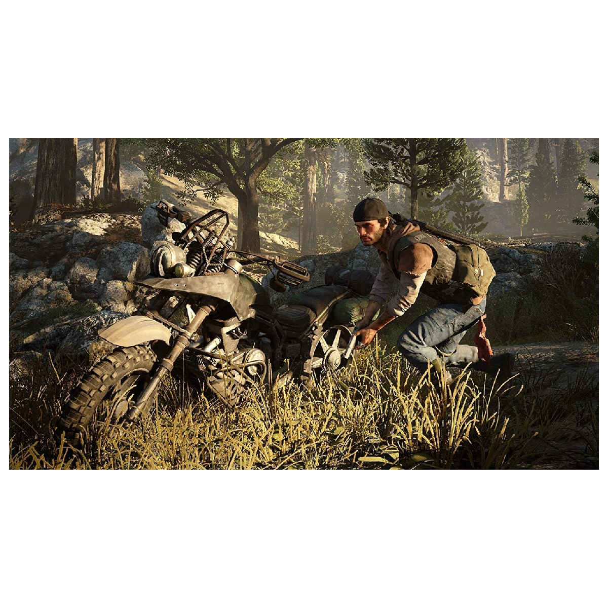 PS4 Juego Days gone