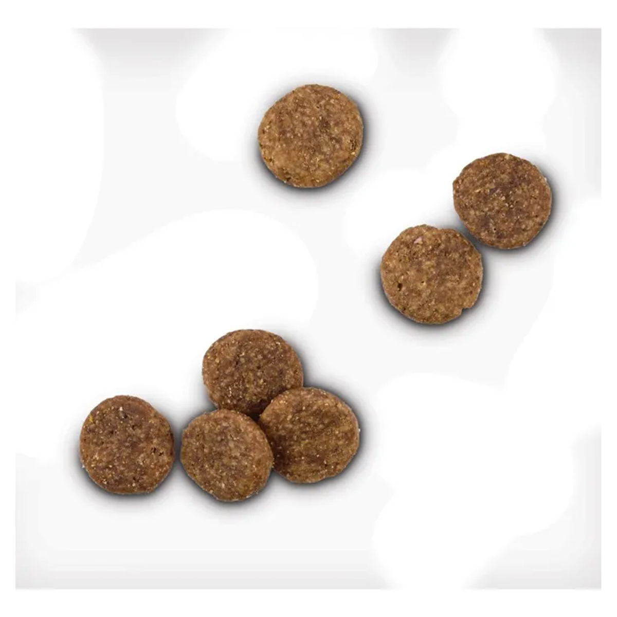 Wholehearted Alimento Natural Perro Grainfree Salmón 11 Kg