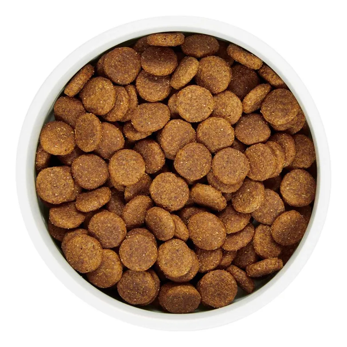Wholehearted Alimento Natural Perro Grainfree Salmón 11 Kg
