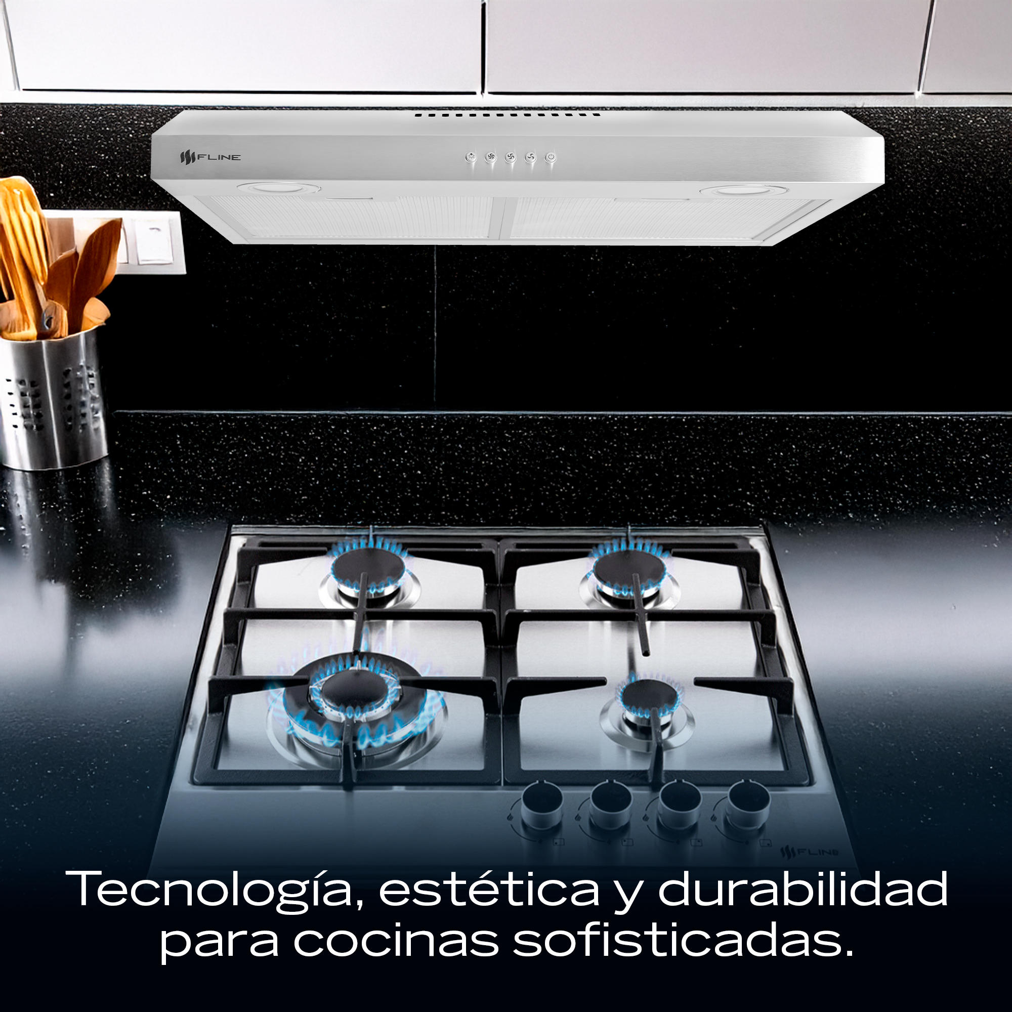 Combo parrilla de gas y  campana extractora 60 cm | gabinete | acero inoxidable | 4 quemadores | 3 velocidades | FLINE