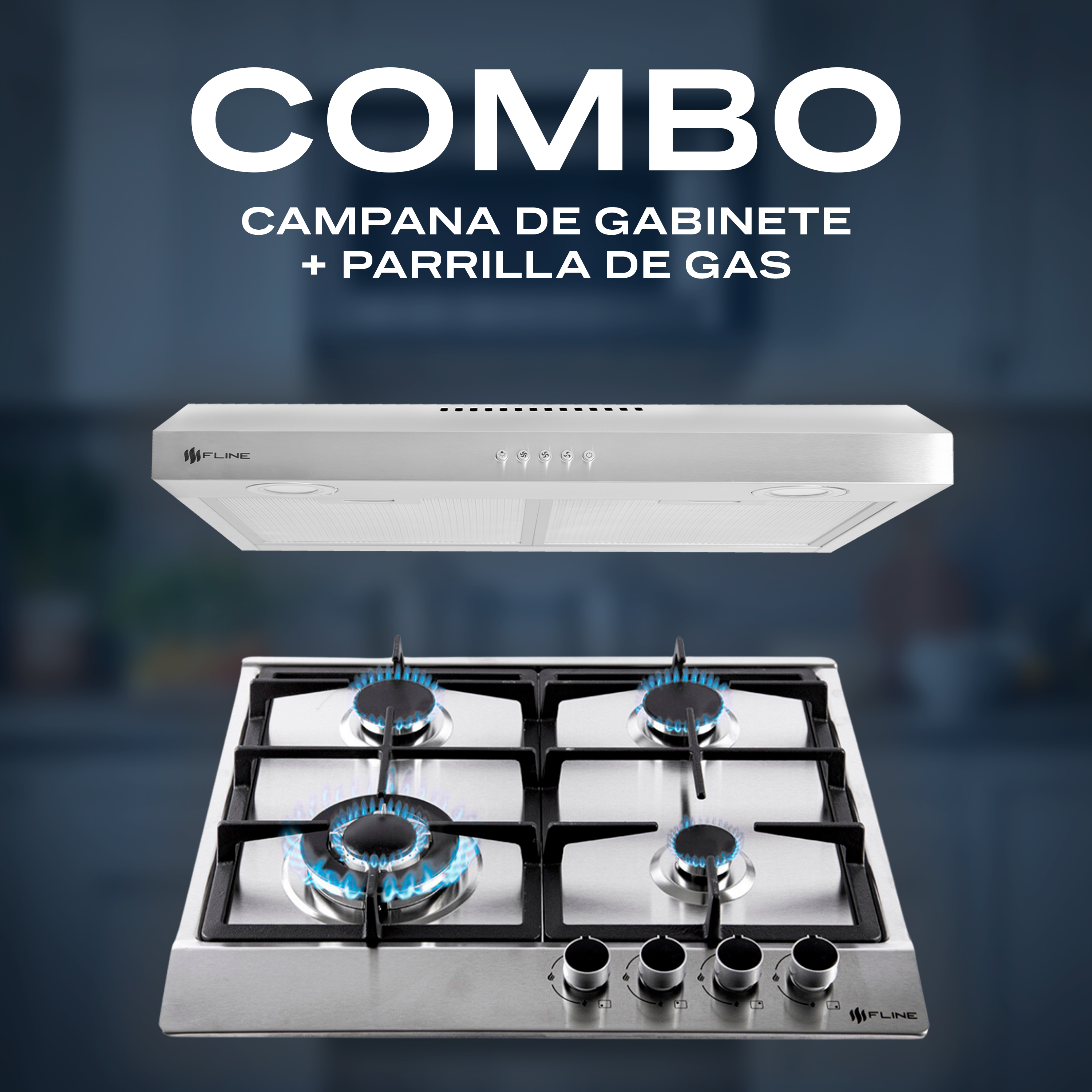 Combo parrilla de gas y  campana extractora 60 cm | gabinete | acero inoxidable | 4 quemadores | 3 velocidades | FLINE