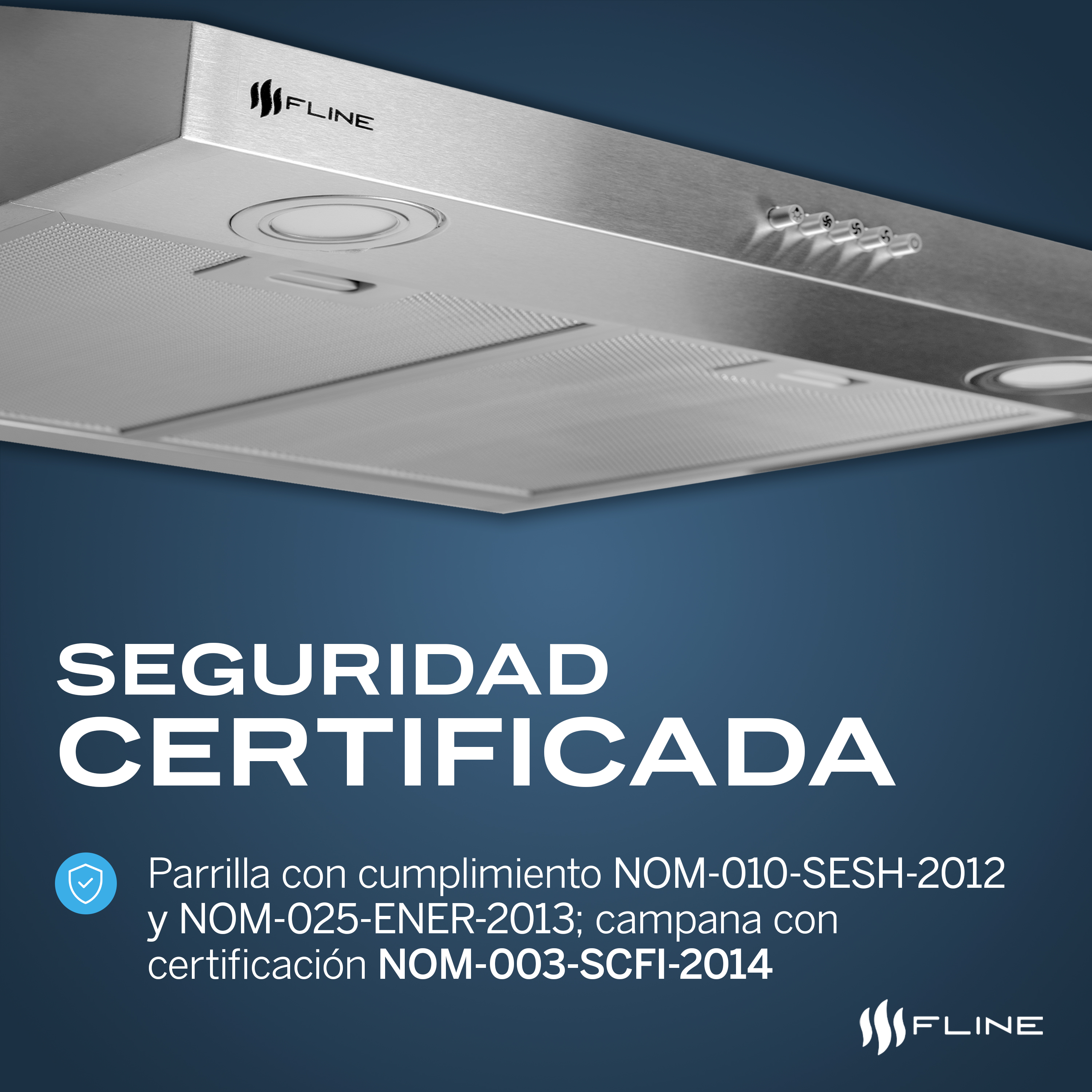 Combo parrilla de gas y  campana extractora 60 cm | gabinete | acero inoxidable | 4 quemadores | 3 velocidades | FLINE