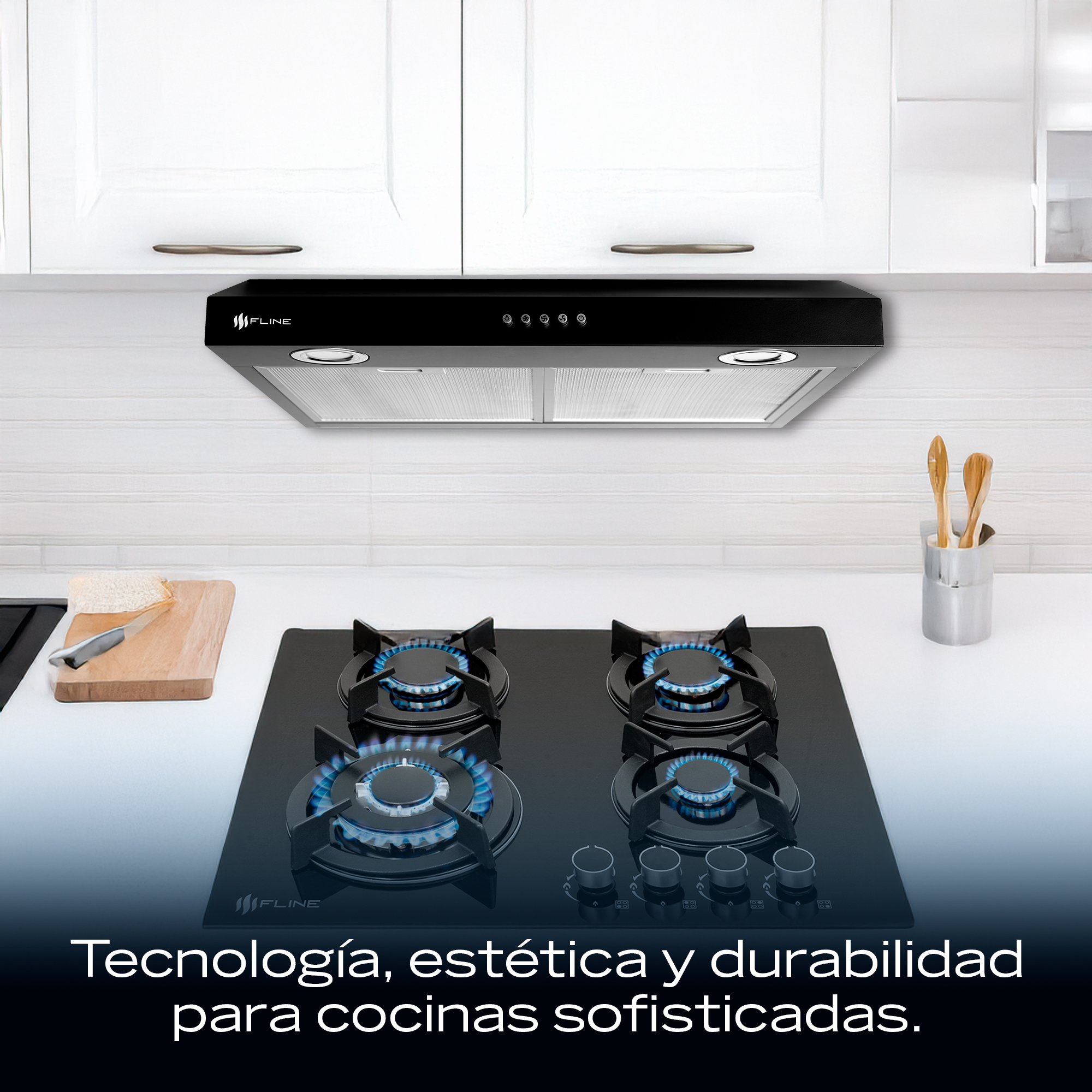 Combo parrilla de gas y  campana extractora 60 cm | negra | 4 quemadores | vidrio templado y acero negro |gabinete | controles boton | FLINE