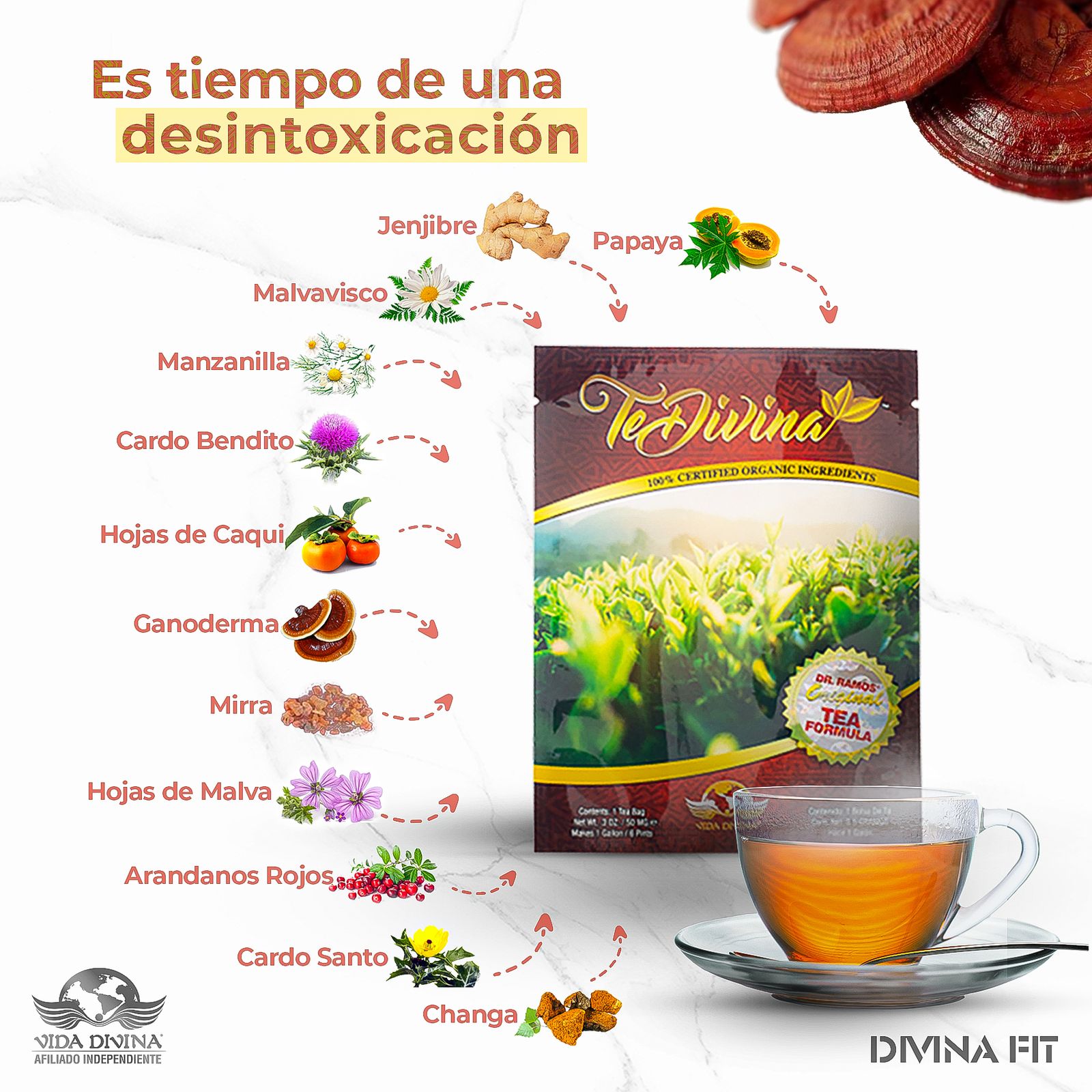 Té Divina Original 2 Sobres – Detox Natural para 2 Semanas – Vida Divina con 12 Hierbas Sin Cafeína