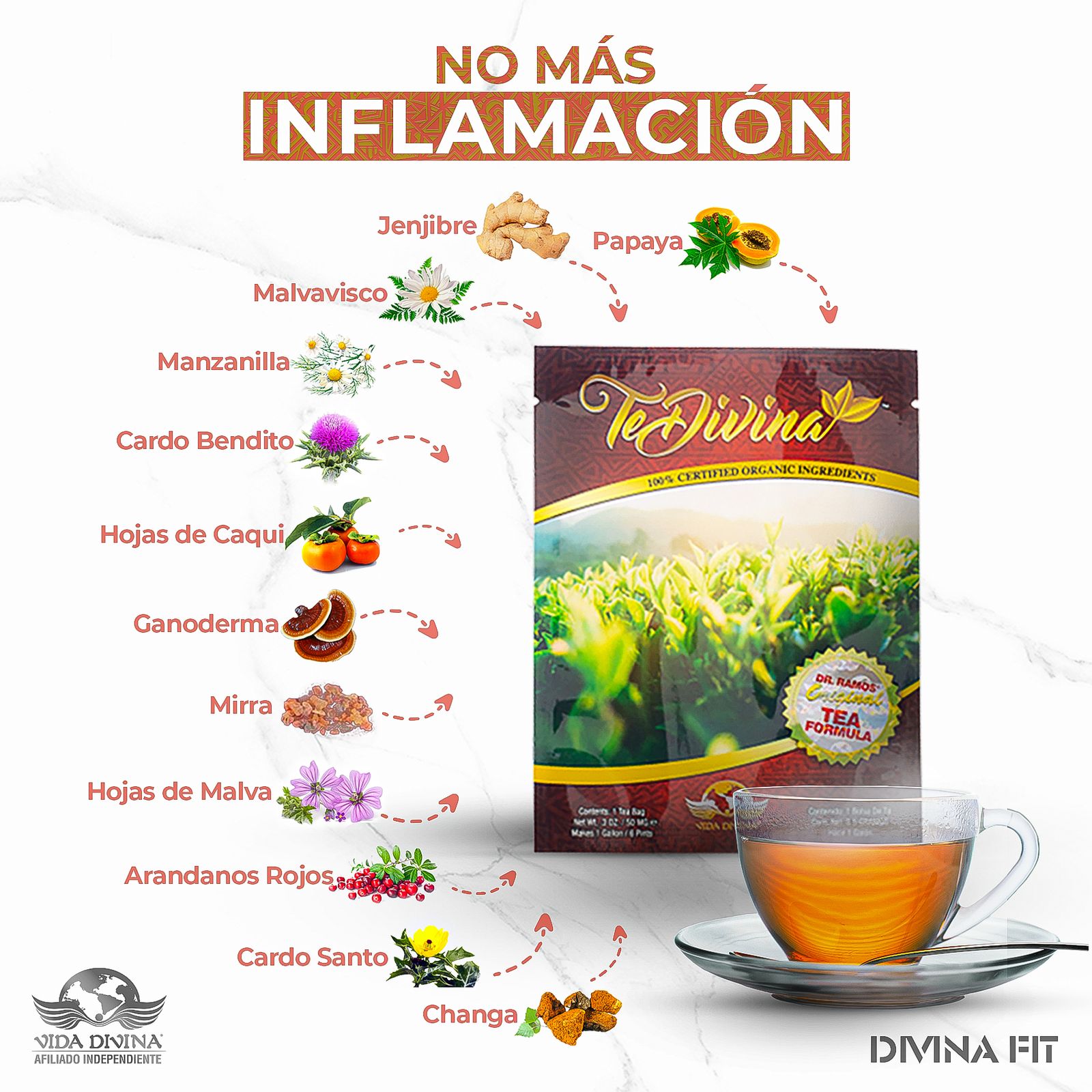 Té Divina Original 4 Sobres – Detox Natural de 1 Mes – 12 Hierbas Orgánicas – Vida Divina Sin Cafeína