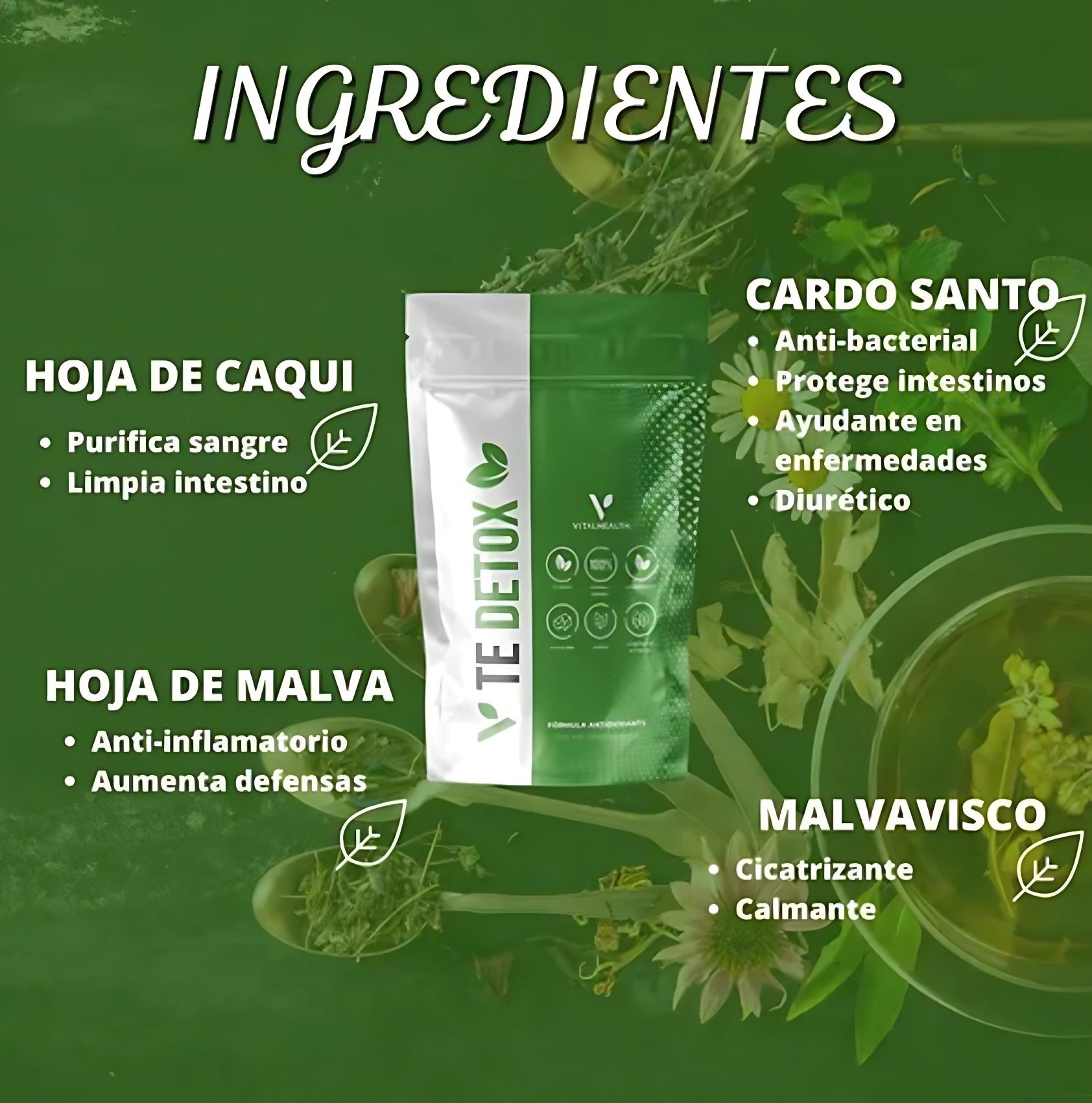 Té Detox VitalHealth 2 Sobres – Suplemento Herbal Natural para 2 Semanas – Sin Cafeína y Antioxidante