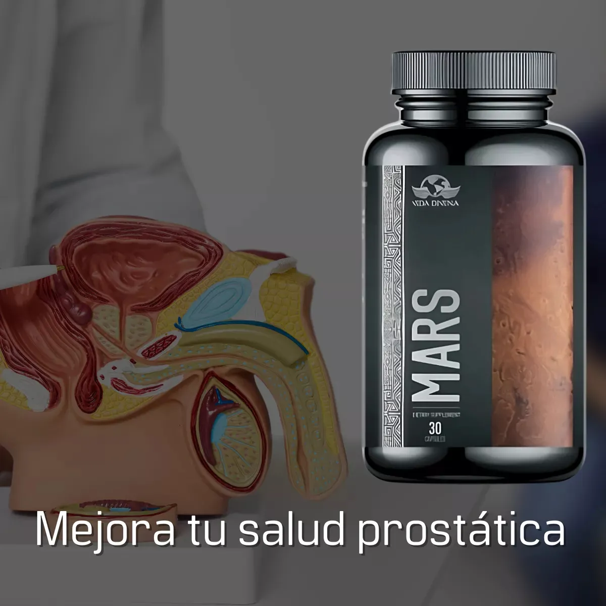 Cápsulas Mars Vida Divina – Suplemento para Energía, Testosterona y Vitalidad Masculina – 30 Cápsulas Naturales