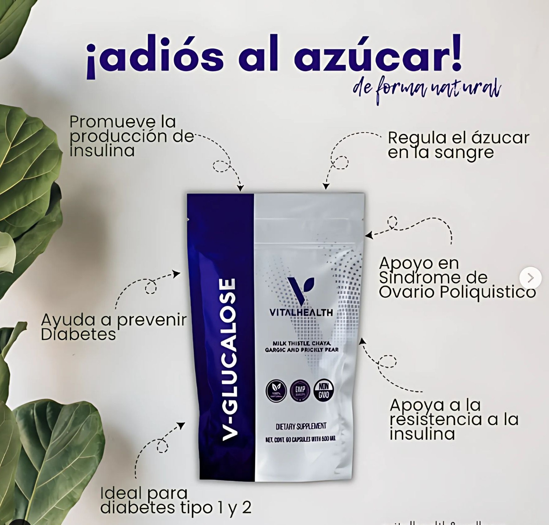 V-Glucalose VitalHealth 60 Cápsulas | Suplemento Natural Control de Azúcar, Insulina y Metabolismo | No GMO, 100% Natural