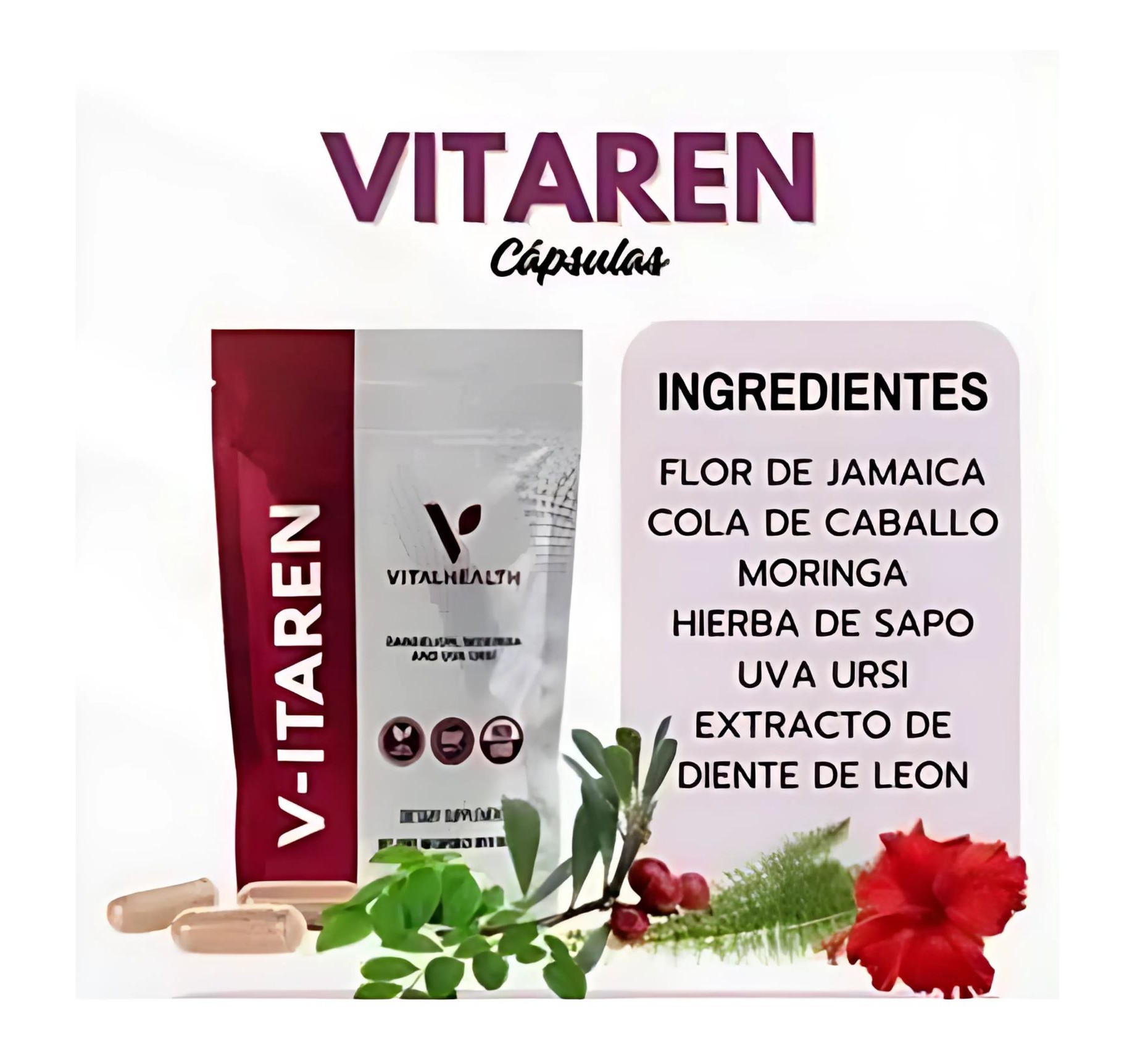 VITAREN Suplemento Detox Natural para Riñones y Vías Urinarias | 60 Cápsulas | Vida Natural y Apoyo Renal | VitalHealth