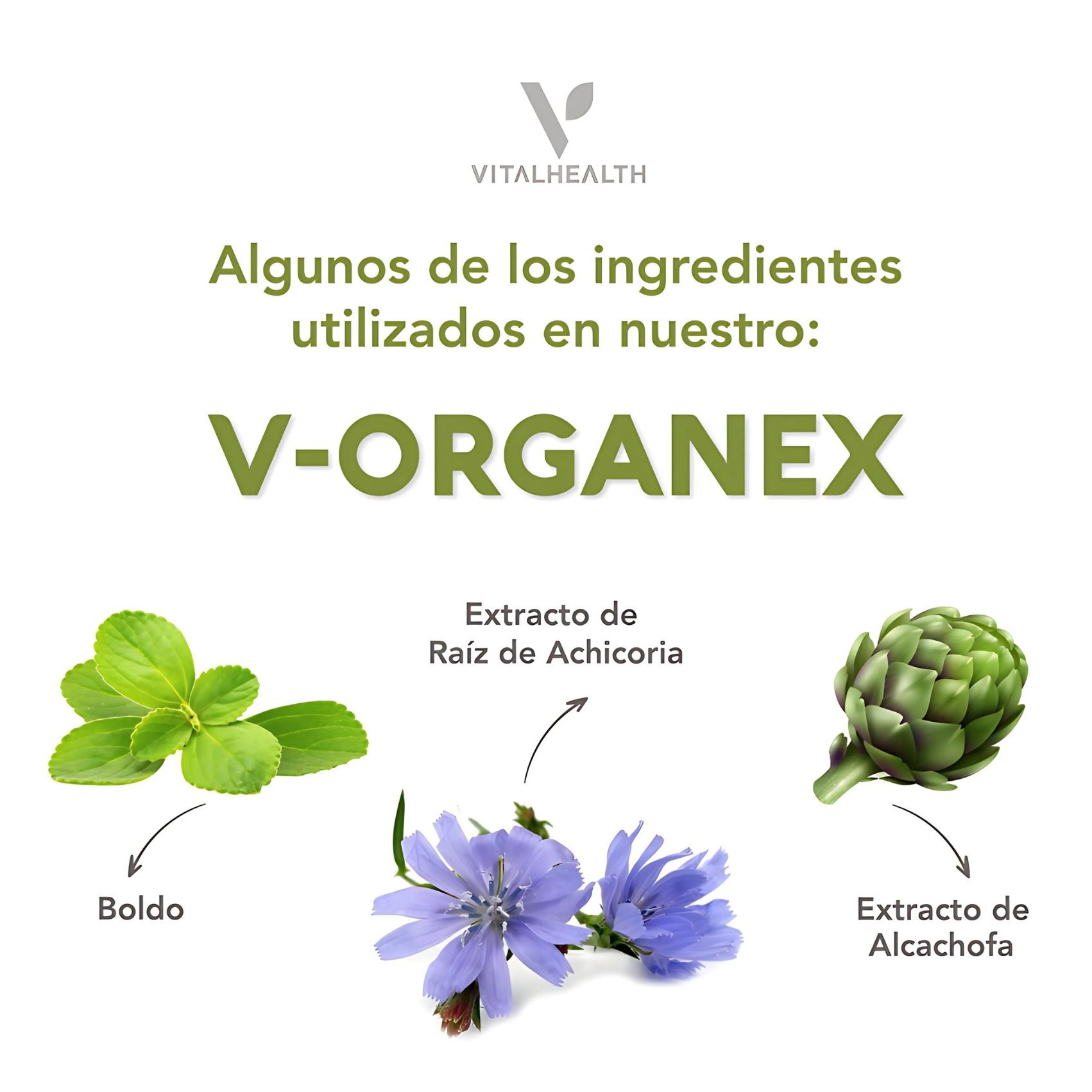 V-Organex VitalHealth – Suplemento Natural para Salud Hepática y Digestiva – 60 Cápsulas