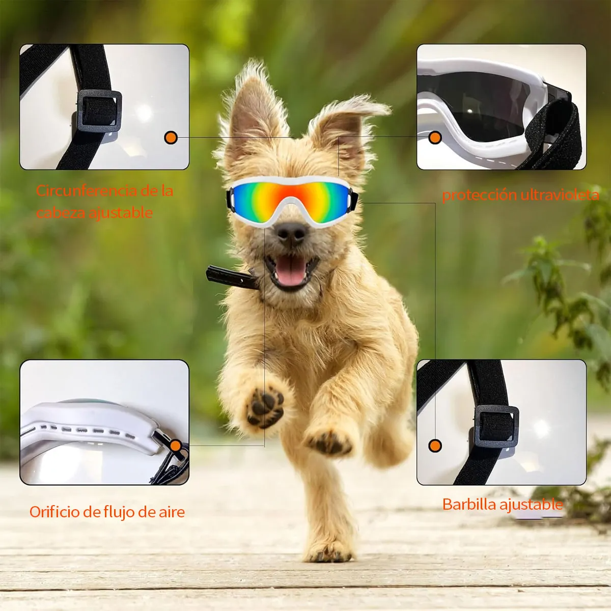 Lentes Gafas De Sol Para Perros Pequeño Protección Uv Viento