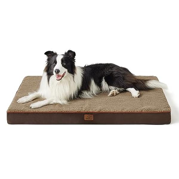 Transportín suave para gatos Morpilot: transportín portátil para gatos, perros y cachorros pequeños o medianos de hasta 6,3 kg. Aprobado por aerolíneas, con hebilla de seguridad y 